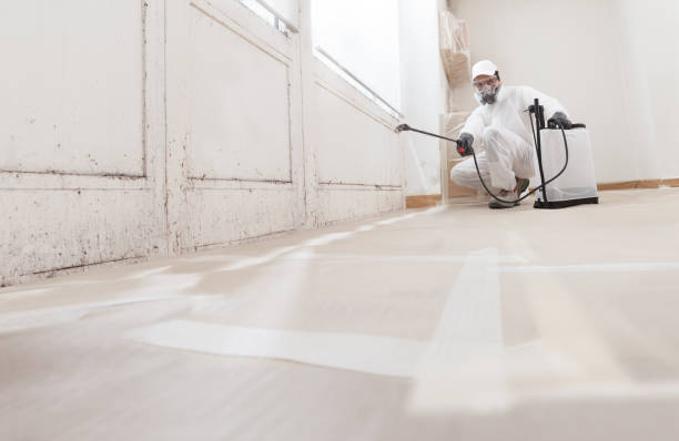 24/7 Emergency Commercial Mold Remediation experts in Nunica, MI