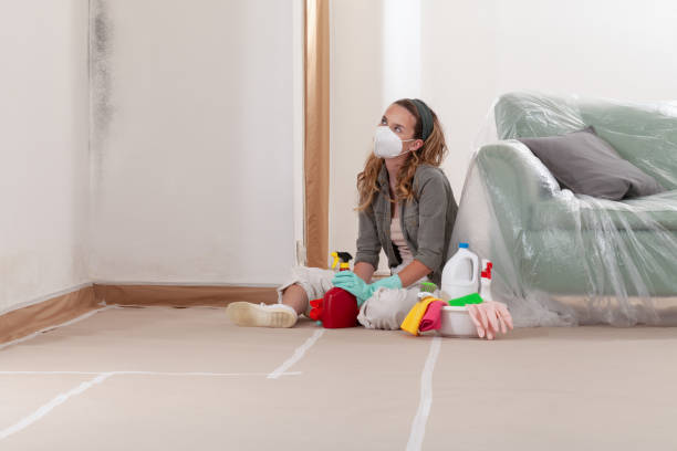 Reliable Commercial Mold Remediation contractor in Nunica, MI by WQB Mold Removal